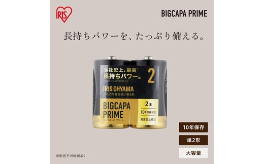 アルカリ乾電池 単2形 24本（2本パック×12個セット） BIGCAPA PRIME LR14BP/2P×12