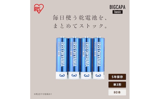 アルカリ乾電池 単3形 80本（4本パック×20個セット） BIGCAPA basic LR6Bb/4P×20