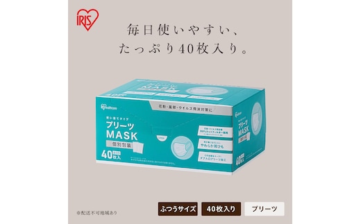 プリーツマスク 400枚（40枚入×10箱） ふつうサイズ PK-NV40L×10