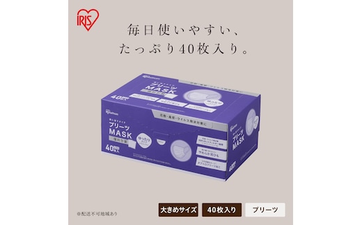 プリーツマスク 400枚（40枚入×10箱） 大きめサイズ PK-NV40LL×10