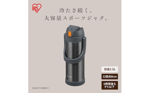 ステンレスケータイボトルスポーツジャグ SJ-2500 グレー