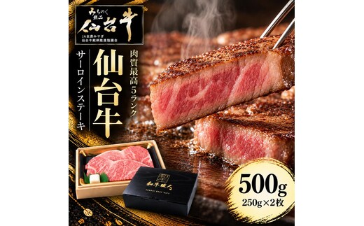 仙台牛 ステーキ 500g (250g×2) 牛肉 和牛 牛ステーキ 焼肉 BBQ バーベキュー ブランド牛 贈答用 父の日 母の日 お歳暮 お中元 国産 日本産 贈り物 プレゼント