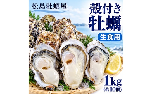 【先行予約の生牡蠣】殻付き 牡蠣 生食用 1kg (約10個) 宮城県産 送料無料 生牡蠣 かき カキ 牡蛎 松島牡蠣屋 産地直送 ふるさと納税 魚介類 バーベキュー BBQ ギフト