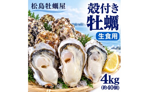 【先行予約の生牡蠣】殻付き 牡蠣 生食用 4kg (約40個) 宮城県産 送料無料 生牡蠣 かき カキ 牡蛎 松島牡蠣屋 産地直送 ふるさと納税 魚介類 バーベキュー BBQ ギフト