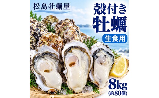 【先行予約の生牡蠣】殻付き 牡蠣 生食用 8kg (約80個) 宮城県産 送料無料 生牡蠣 かき カキ 牡蛎 松島牡蠣屋 産地直送 ふるさと納税 魚介類 バーベキュー BBQ ギフト