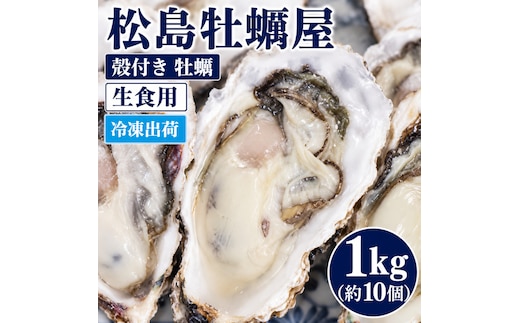 冷凍出荷 殻付き 牡蠣 生食用 1kg (約10個) 宮城県産 冷凍牡蠣 送料無料 生牡蠣 かき カキ 松島牡蠣屋 産地直送 ふるさと納税 冷凍保存 お歳暮 ギフト 魚介類 流水解凍