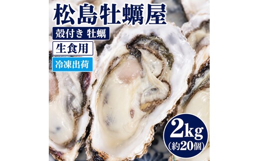 冷凍出荷 殻付き 牡蠣 生食用 2kg (約20個) 宮城県産 冷凍牡蠣 送料無料 生牡蠣 かき カキ 松島牡蠣屋 産地直送 ふるさと納税 冷凍保存 お歳暮 ギフト 魚介類 流水解凍