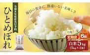 令和8年産 新米 ひとめぼれ 5kg 6ヵ月 定期便 先行予約 米 お米 白米 精米 こめ コメ 令和8年 宮城県産