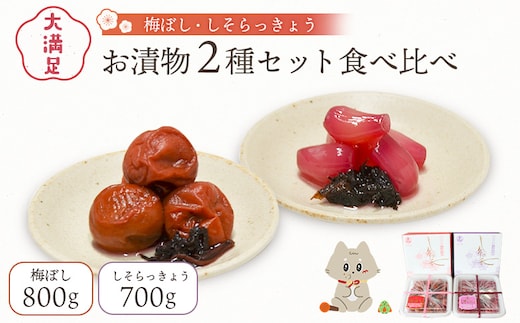 大満足 お漬物２種セット 梅ぼし しそらっきょう 食べ比べ【02104】