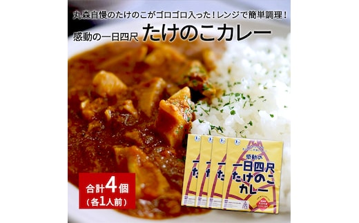 たけのこカレー1人前×4個セット【0802201】