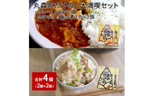 たけのこカレー1人前×2個 たけのこごはんの素3合×2個 合計4個セット【08101】