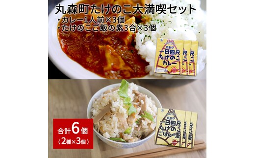 たけのこカレー1人前×3個 たけのこごはんの素3合×3個 合計6個セット【08104】