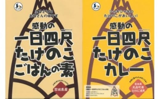 【丸森町特産】 たけのこカレー3個とたけのこご飯のもと2個【08110】