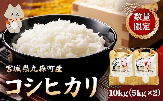 ＜数量限定＞宮城県丸森町産 コシヒカリ 10kg(5kg×2)【1110101】