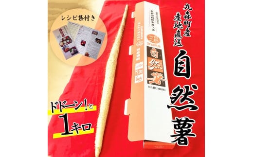 【先行予約】丸森町産 自然薯1kg 専用化粧箱入り レシピ集付き【12103】
