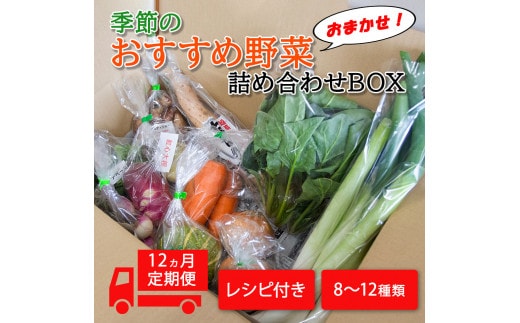 季節のおすすめ野菜おまかせ詰め合わせ12ヵ月定期便 8種～12種類【16105】