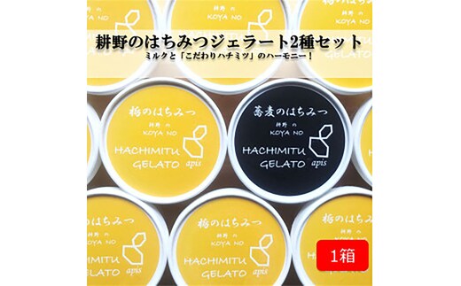 ミルクと「こだわりハチミツ」のハーモニー！国産純粋はちみつ「耕野のはちみつ」ジェラート2種8個セット【21103】