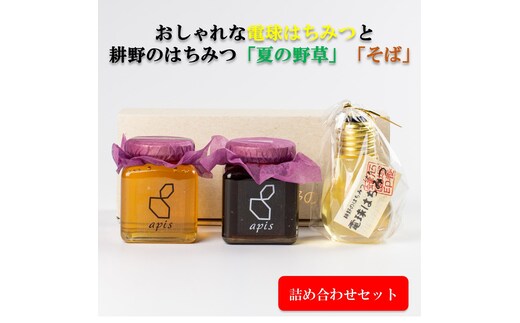 可愛らしい形はギフトにもピッタリ！ 電球はちみつと定番はちみつ2種セット【2110502】