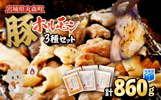 【古今東北】 丸森町大槻ファーム 豚ホルモン3種セット(計860g）【30102】
