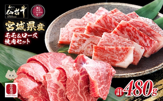 【古今東北】 宮城県産 特選仙台牛 A5ランク 美らいす和牛 焼き肉用セット（モモ・ロース） 480g（ロース 200g / もも 280g）【30106】