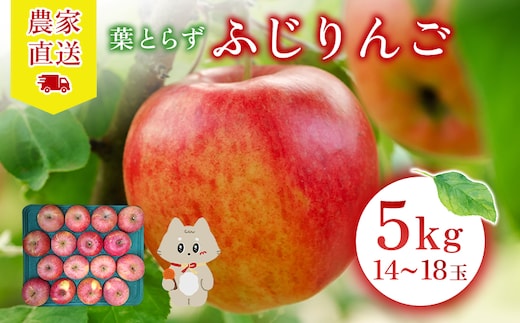 【先行予約】《2026年12月上旬～12月下旬出荷》宮城県丸森町産 葉とらずふじりんご 14～18個入り（約5kg） 1箱【48001】