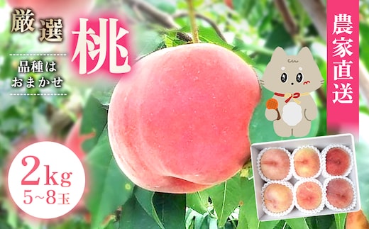 【先行予約】《7月中旬～9月中旬出荷》 宮城県丸森町産 桃 5～8玉（約2kg）【4800403】