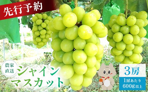 【先行予約】《2026年9月下旬～11月下旬出荷》 宮城県丸森町産 シャインマスカット 3房(1房 600g以上) 【48006】