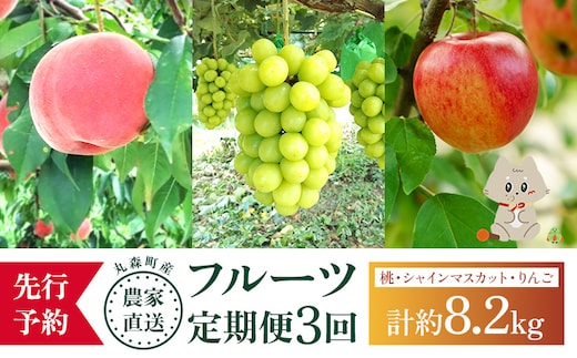 【先行予約】《採れたてを農家直送》 宮城県丸森町産 フルーツ定期便 コース1（桃・シャインマスカット・りんご）【48007】