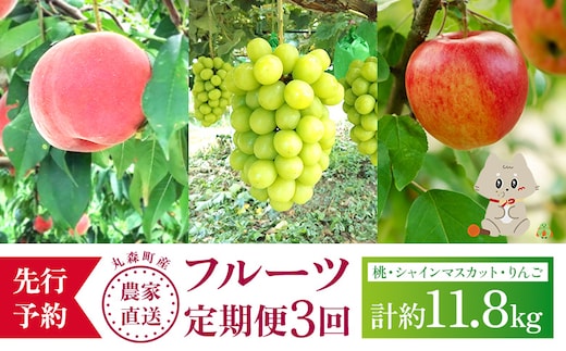 【先行予約】《採れたてを農家直送》 宮城県丸森町産 フルーツ定期便 コース2 （桃・シャインマスカット・りんご）【48008】