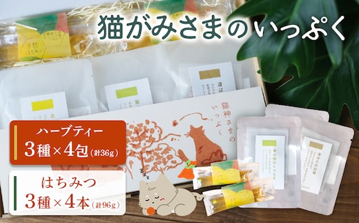 猫がみさまのいっぷく【56001】