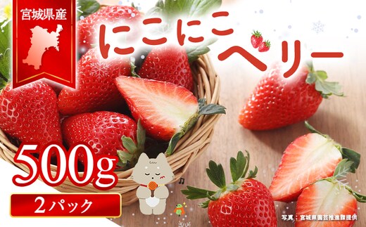 宮城県産いちご「にこにこベリー」 約500ｇ（250ｇ×2）【57001】
