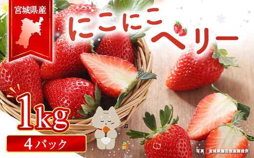 宮城県産いちご「にこにこベリー」約1ｋg（250g×4）【57002】