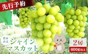 【先行予約】《2026年9月下旬～11月下旬出荷》 宮城県丸森町産 シャインマスカット　2房(1房 600g以上)【4800302】