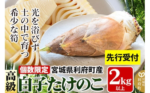 タケノコ 【2027年発送 先行受付】 宮城県 利府町産 採れたて 高級白子たけのこ 皮付き2kg以上（2～6本）筍 野菜 国産 新鮮 旬 [先行予約 予約 筍 竹の子 タケノコ 野菜 国産 新鮮 白子たけのこ]