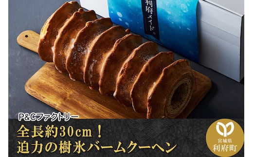 全長約30cm！迫力の樹氷バームクーヘン [パティシエ ムー モル モル patissier mou mol molle スイーツ P＆Cファクトリー バウムクーヘン ドライバウム ドライバーム]