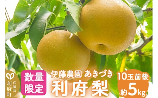 数量限定 利府梨（あきづき）5kg（10玉前後）先行受付 [先行予約 今が旬 甘い ブランド 梨 果物 フルーツ 美味 おいしい 宮城県 利府町 伊藤農園]