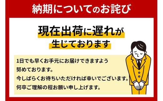 仙台名物 職人仕込み 手切りの 牛タン 約800g(塩コショウ味)〈調味料