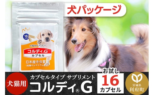 犬 猫 いつものエサにプラス！ペット用サプリメント コルディG 16カプセル(犬猫用) 犬パッケージ [犬用 猫用 わんちゃん用 ワンちゃん用 ねこちゃん用 ネコちゃん用 猫ちゃん用 老犬 老猫 シニア サプリメント ペット]
