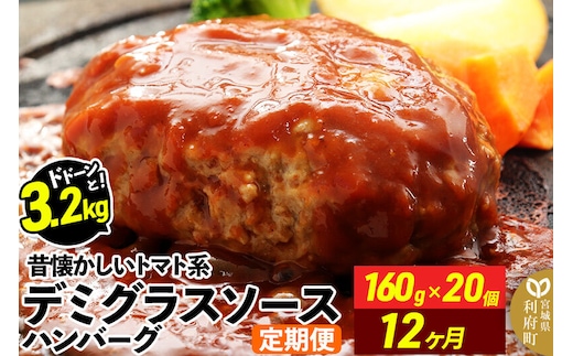 《定期便12ヶ月》ドドンと3.2kg！昔懐かしいデミグラスソースハンバーグ (160g×20個)×12回 肉 洋食 簡単 大容量 湯煎 湯せん 個包装 [大容量 肉 おかず 惣菜 個包装 簡単 湯せん レンチン 洋食 湯煎 個別包装 小分 お弁当 便利 レンジ お試し]