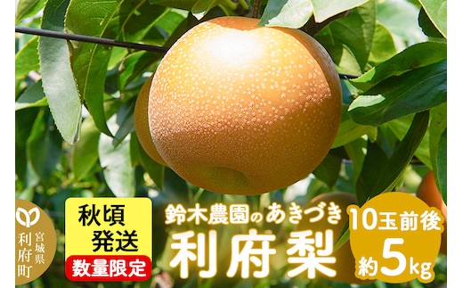 個数限定 利府梨（あきづき）5kg（10玉前後） 鈴木梨園