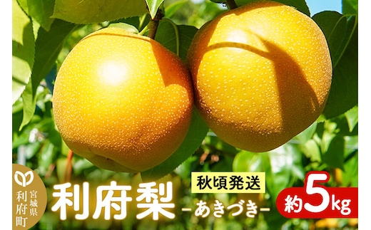 梨 数量限定 利府梨（あきづき）約5kg（10玉前後）先行受付 [先行予約 ブランド フルーツ 人気 有機肥料のみ 果物 美味 おいしい 宮城県 利府町 高橋梨園]