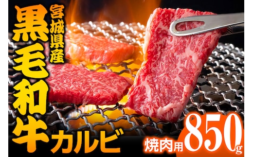 宮城県産 黒毛和牛カルビ焼肉用 850g｜国産 牛肉 バーベキュー [0050]