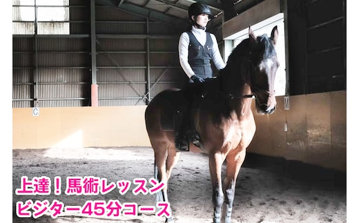 上達！馬術レッスン・ビジター45分コース｜東北 宮城 仙台 乗馬 チケット クーポン 入場券 体験 レジャー [0088]