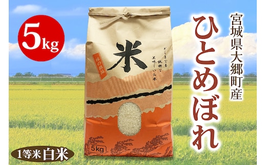 《令和7年産》宮城県 大郷町産 1等米 ひとめぼれ 白米 5kg×1袋｜2025年 ヒトメボレ 米 お米 こめ コメ 精米 宮城米 道の駅 [0250]