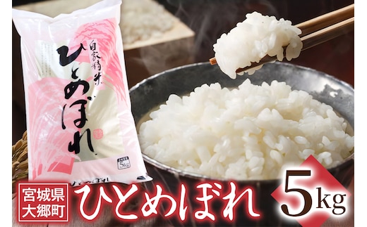 令和7年産 ひとめぼれ 5kg｜2025年 宮城産 大郷町 白米 米 コメ 精米 お米 こめ 新米 [0265]