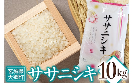令和7年産 ササニシキ 10kg｜2025年 宮城産 大郷町 白米 米 コメ 精米 お米 こめ [0309]