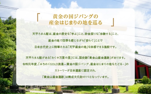 日本初の産金地・天平ろまん館本気採り砂金採り体験60分コースペア券 | dショッピングふるさと納税百選