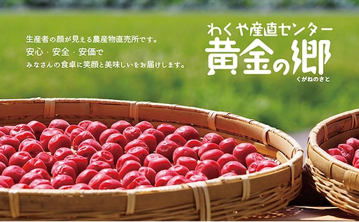 黄金の郷 お母ちゃんの味 梅干しとしそ巻きセット◆【aubless014】