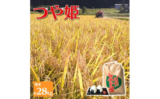 【環境保全米】アグリとみたの 令和7年産 つや姫 精米 約28㎏【agtomita001】