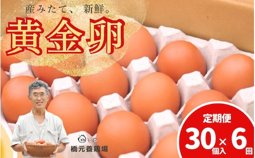 【定期便】産みたて新鮮卵 30個入り 6か月 定期便 | 卵 たまご 玉子 鶏卵 新鮮 濃厚 生卵 赤玉たまご 目玉焼き オムレツ 健康 産地直送 ※沖縄・離島への配送不可【aubless024】 